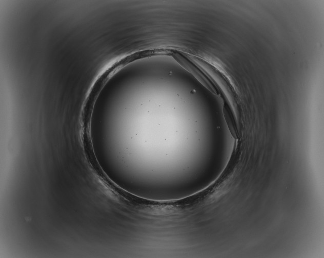 X0000086991024200704161502