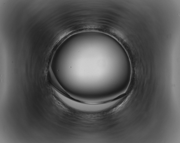 X0000086991025200704161502