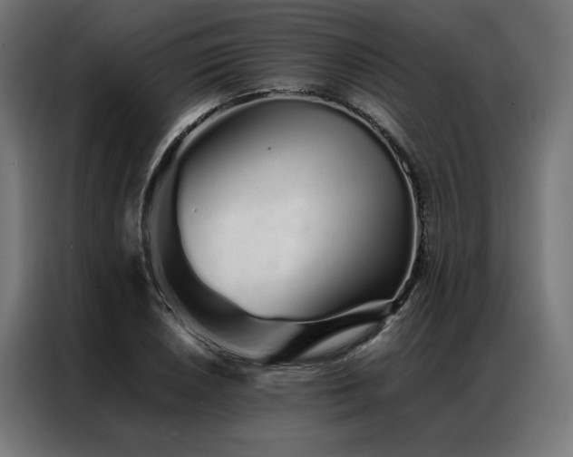 X0000086991026200704161502