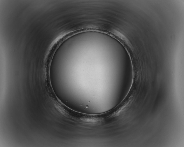 X0000086991027200704161502