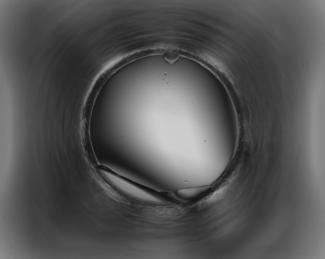 X0000086991029200704161502