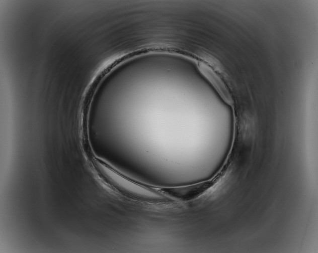 X0000086991030200704161502