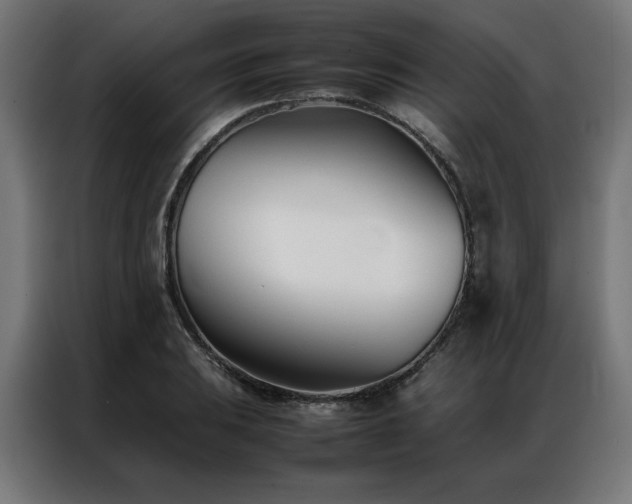 X0000086991031200704161502