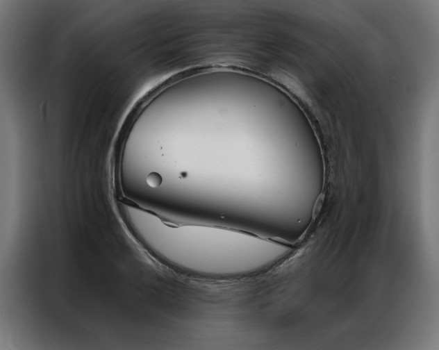 X0000086991032200704161502