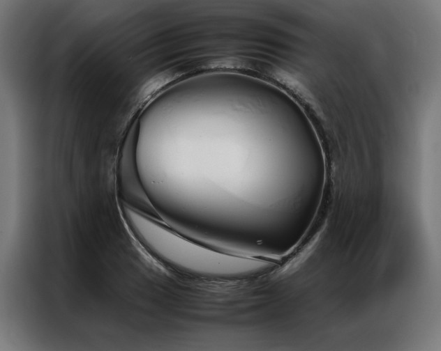 X0000086991033200704161502