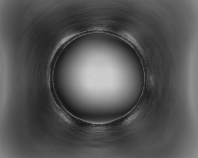 X0000086991035200704161502