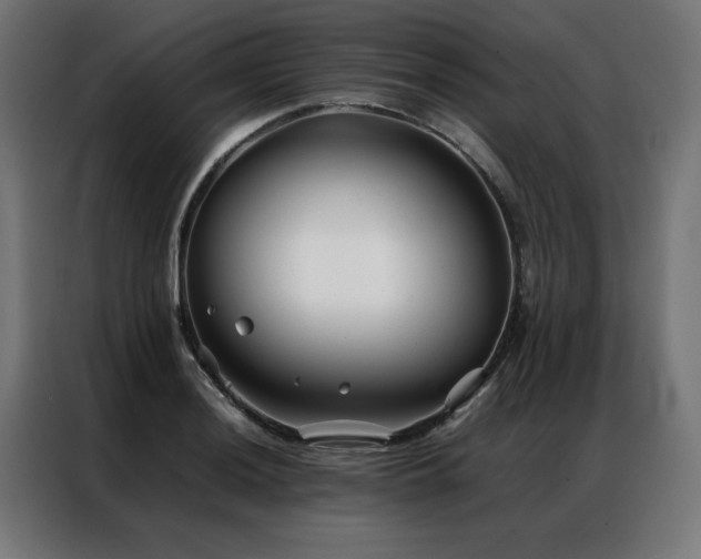 X0000086991036200704161502