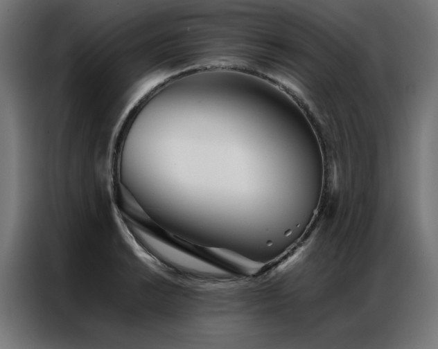 X0000086991038200704161502