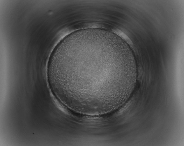 X0000086991039200704161502