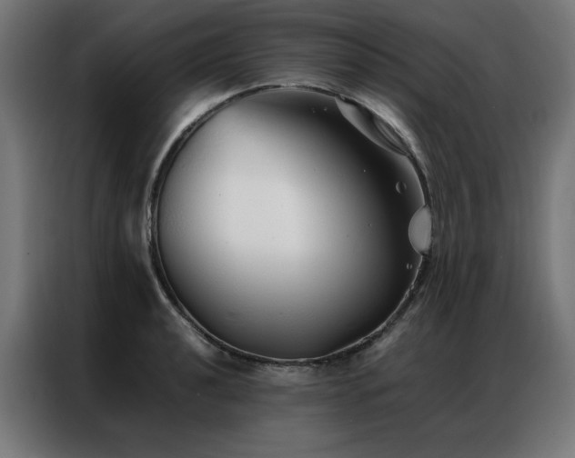 X0000086991040200704161502