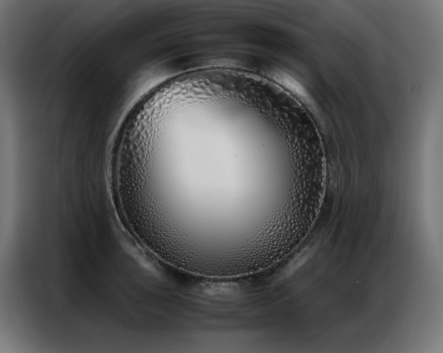 X0000086991043200704161502