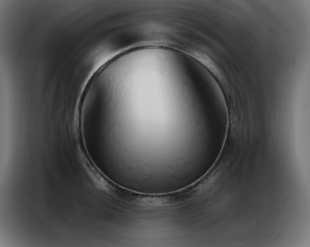 X0000086991044200704161502
