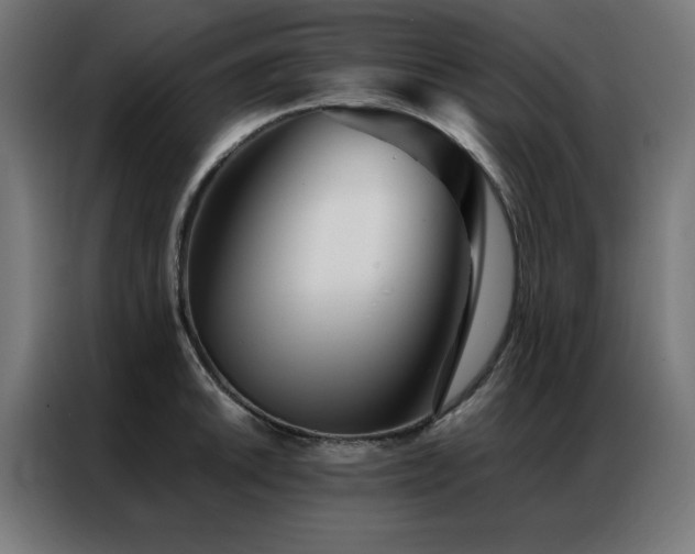 X0000086991046200704161502