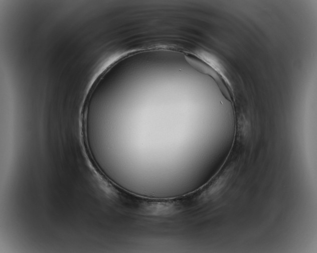 X0000086991047200704161502