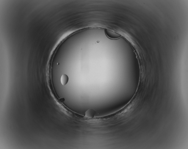 X0000086991048200704161502