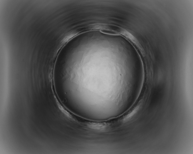 X0000086991049200704161502