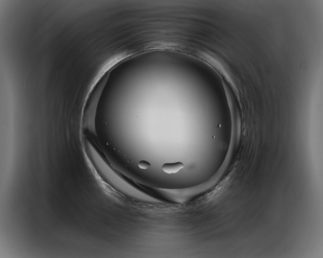 X0000086991050200704161502