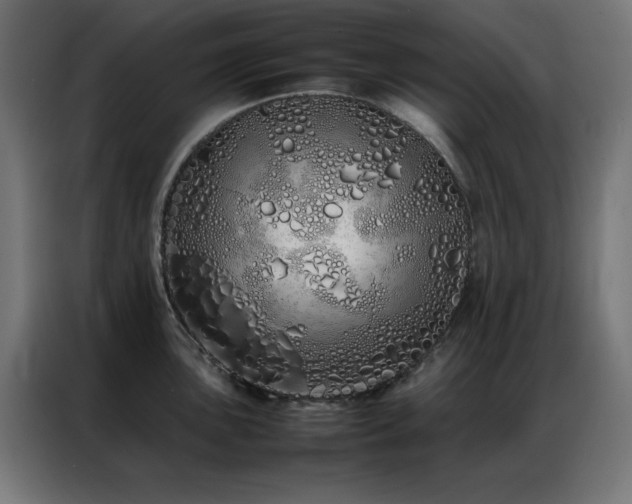 X0000086991051200704161502