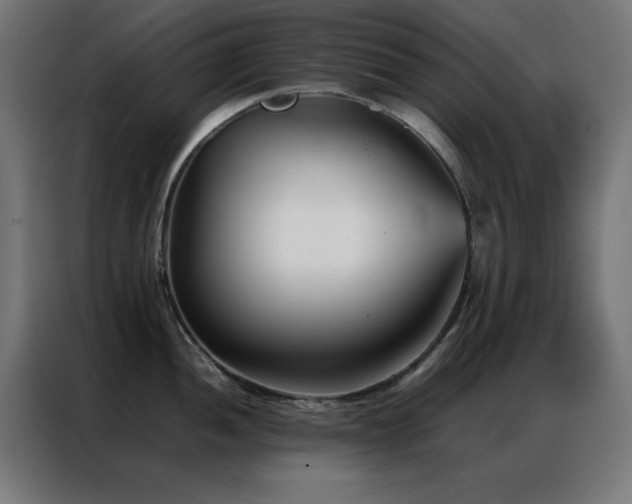 X0000086991052200704161502