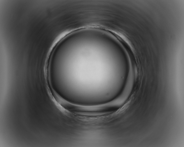 X0000086991054200704161502