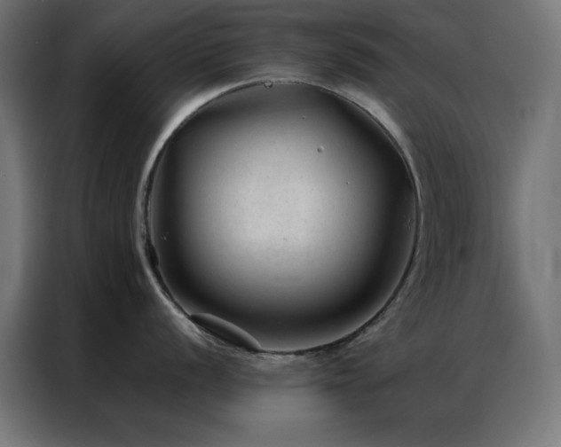 X0000086991056200704161502