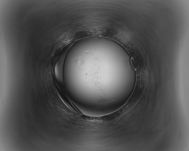 X0000086991058200704161502