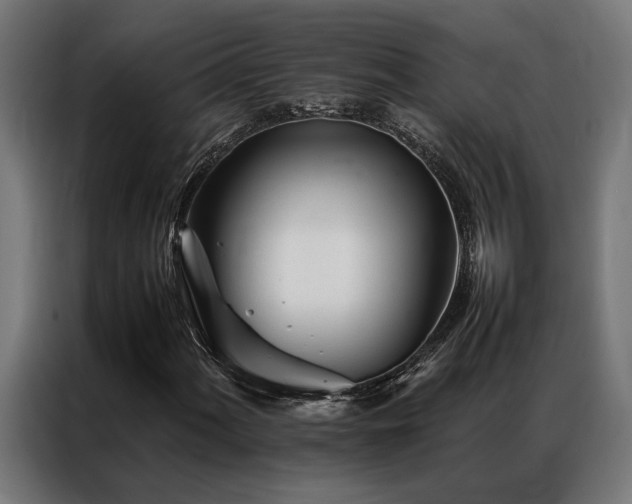 X0000086991060200704161502