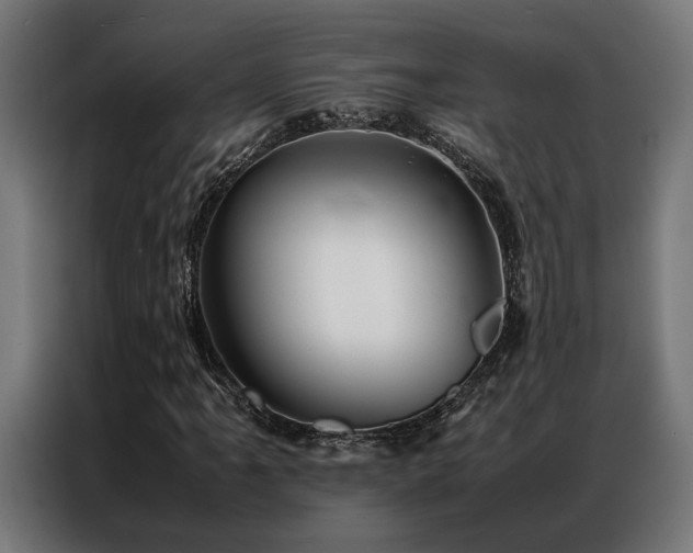 X0000086991061200704161502