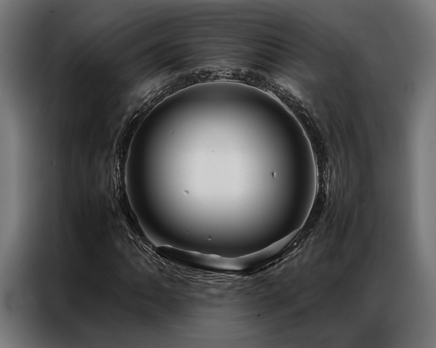 X0000086991062200704161502