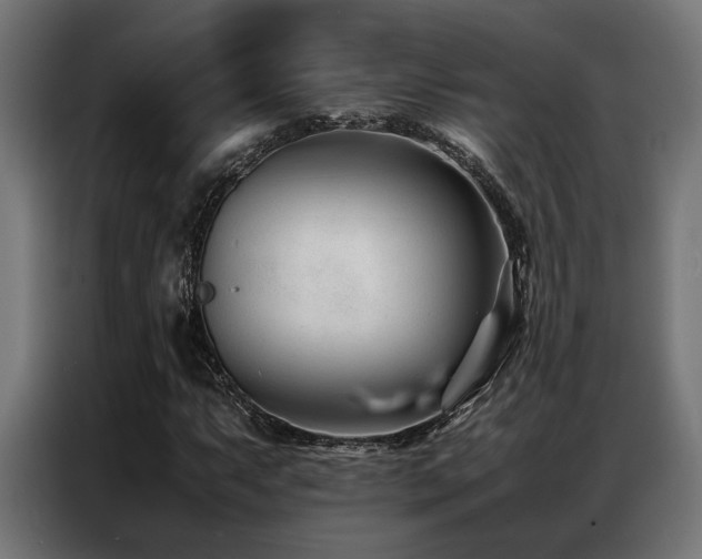 X0000086991063200704161502