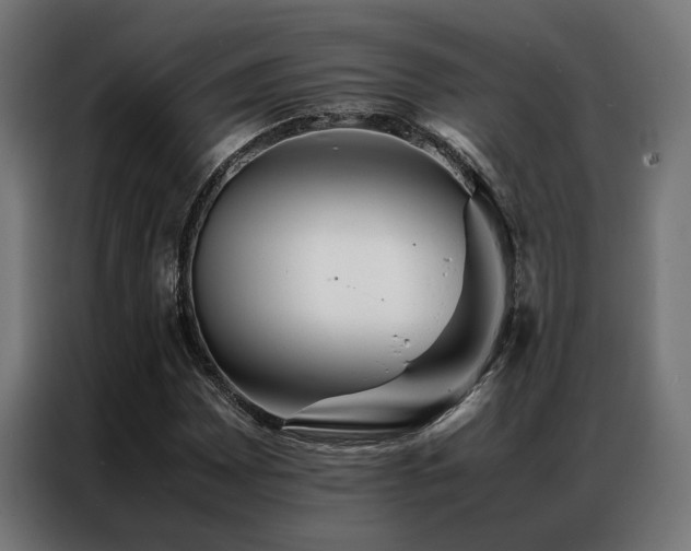 X0000086991065200704161502