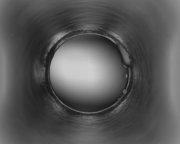 X0000086991066200704161502