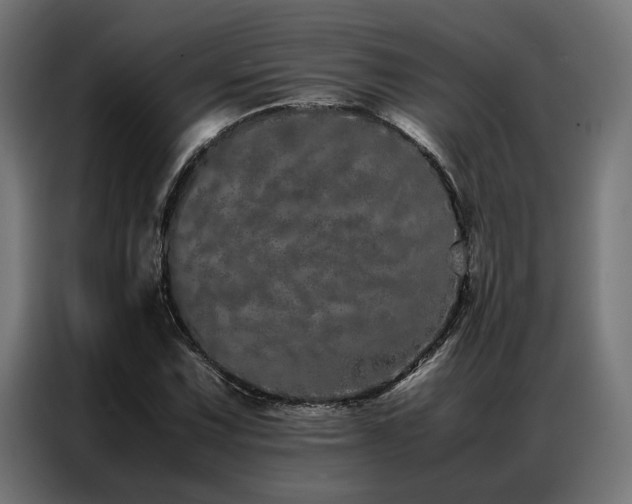 X0000086991067200704161502