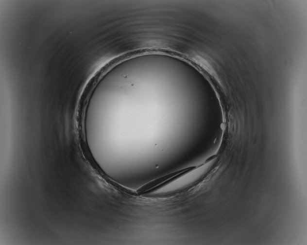 X0000086991068200704161502