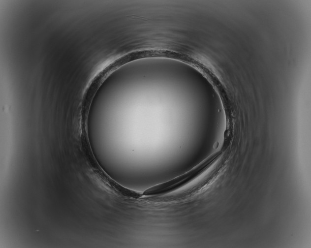 X0000086991069200704161502