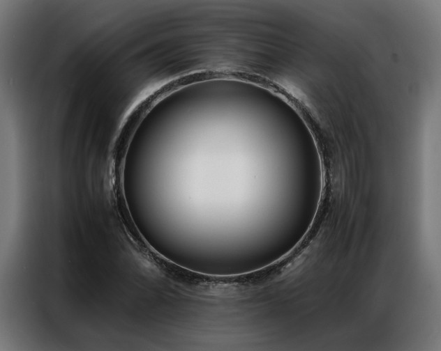 X0000086991070200704161502