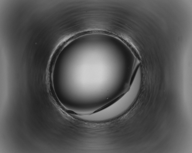 X0000086991072200704161502