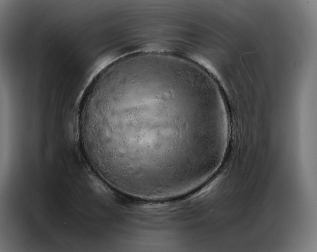 X0000086991075200704161502