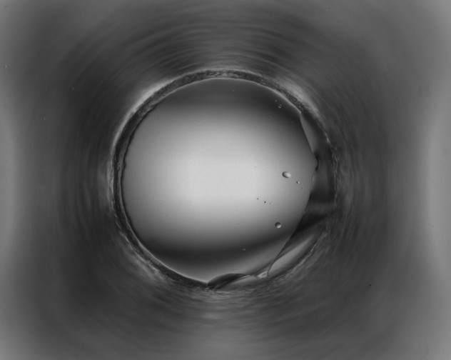 X0000086991076200704161502