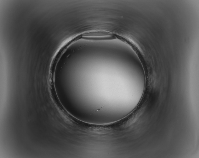 X0000086991077200704161502