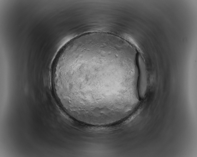 X0000086991079200704161502
