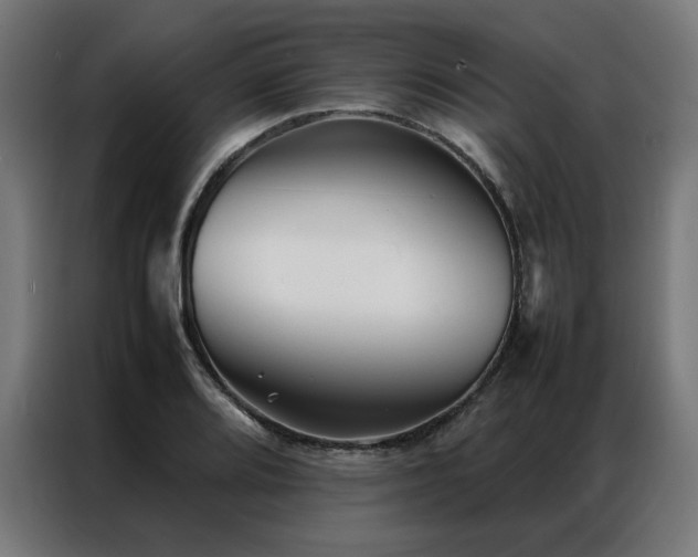 X0000086991080200704161502