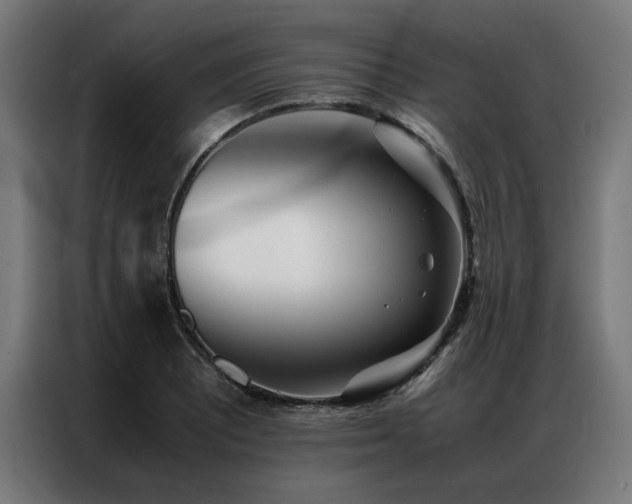 X0000086991081200704161502