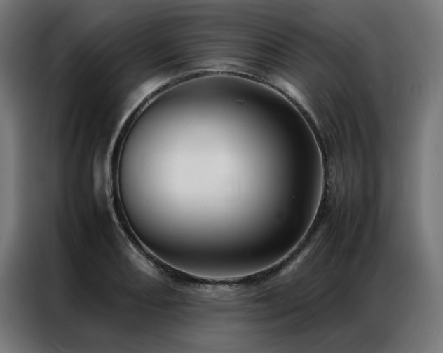 X0000086991082200704161502