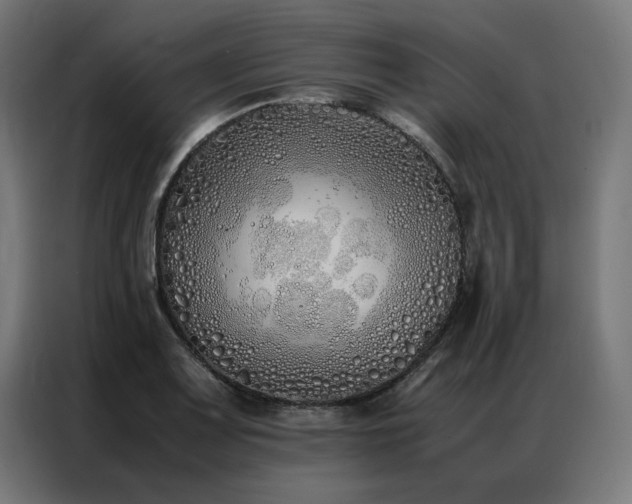 X0000086991083200704161502