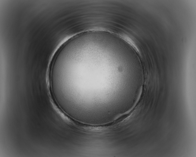 X0000086991084200704161502
