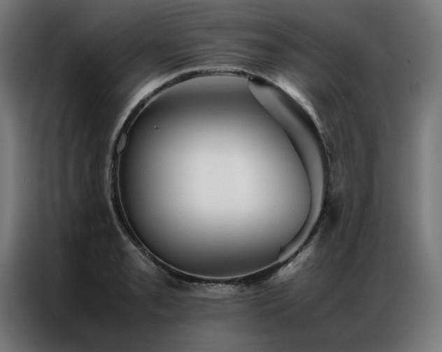 X0000086991085200704161502