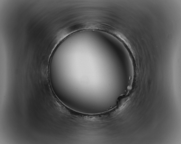 X0000086991089200704161502