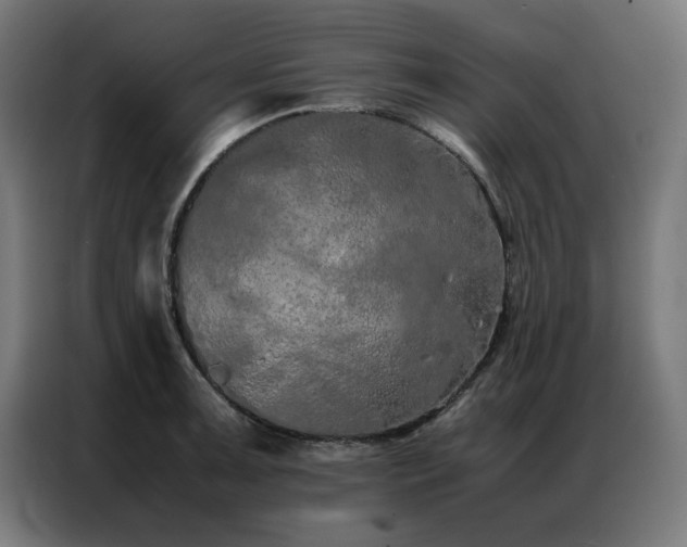 X0000086991091200704161501