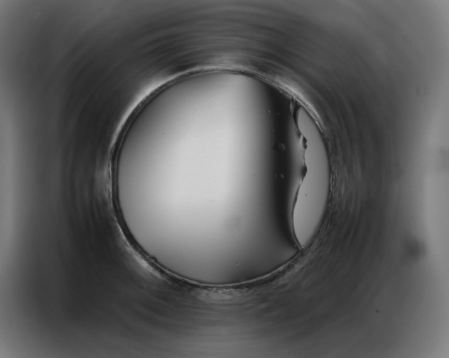 X0000086991092200704161501